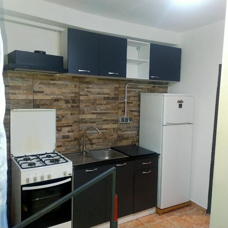 Vila Elena Ap 1 부쿠레슈티 외부 사진