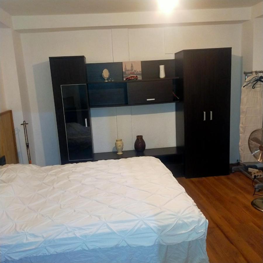 Vila Elena Ap 1 부쿠레슈티 외부 사진