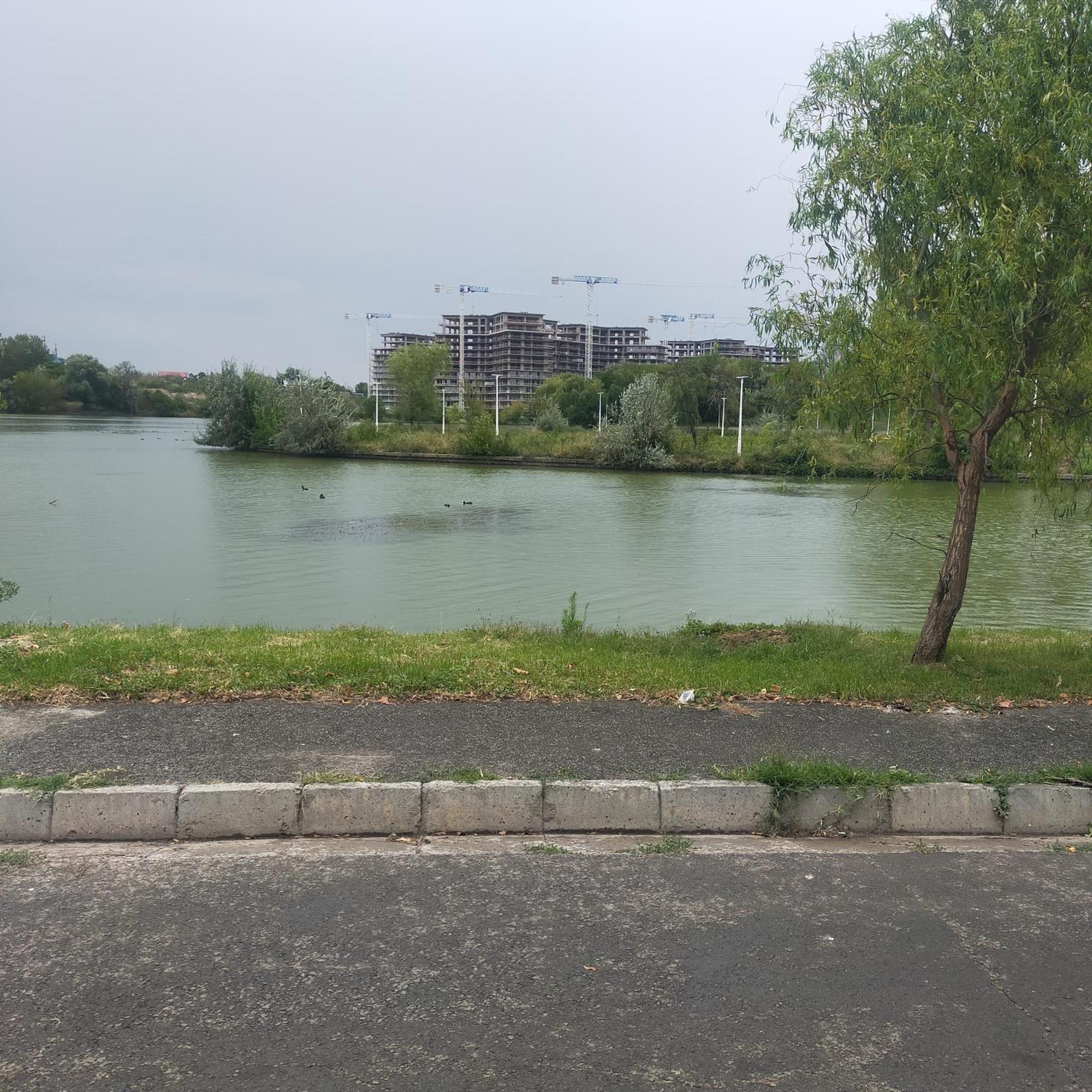 Vila Elena Ap 1 부쿠레슈티 외부 사진